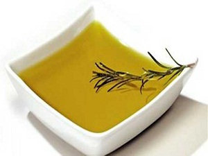 Akhisar, zeytin üretim merkezi oluyor