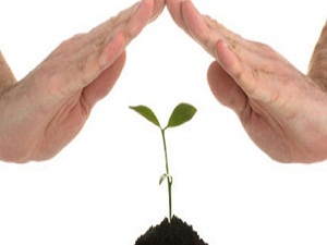 Doğal afetler tarım sigortasına yaradı!