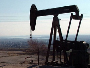 Rekor miktarda petrol bulundu!