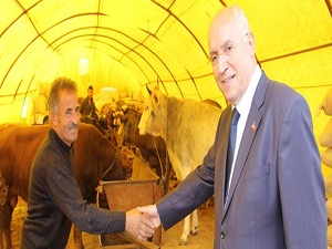 Modern hayvan pazarı Kurban Bayramına hazır