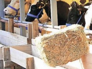 Bu hatayı sakın yapmayın!