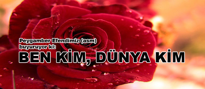 Resulullah (asm): Ben kim, dünya kim