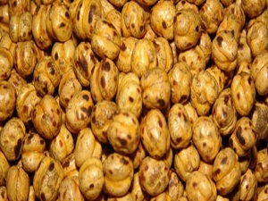 İspanyollar leblebiyi çok sevdi