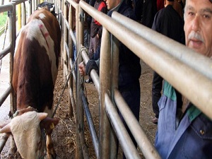 Ankara'da alan dışında kurban kesenlere ceza