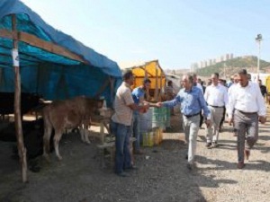 Bayraklı Belediyesi Kurban Bayramına Hazır