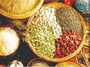 Yüksek rekolte zamma fren oldu