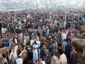 Ege ve Marmara'nın en büyük hayvan pazarı