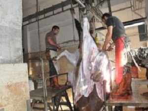Kurban Keseceklere Uygulamalı Eğitim