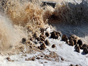 Pancarın 'şeker' yolculuğu