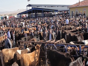 Kurban alacaklara kulak küpesi uyarısı