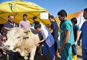 Altındağ, Kurban Bayramına Hazırlanıyor