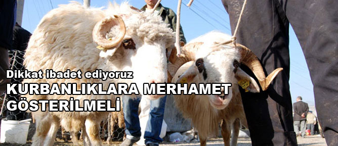 Kurbanlıklara merhamet gösterilmeli