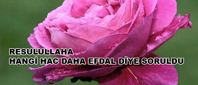 Resûlullaha hangi hac daha efdal diye soruldu