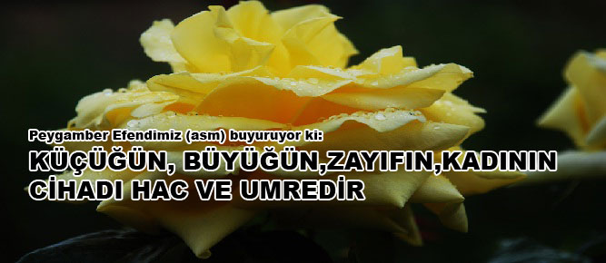 Küçüğün, büyüğün, zayıfın, kadının cihadı hacc ve umredir