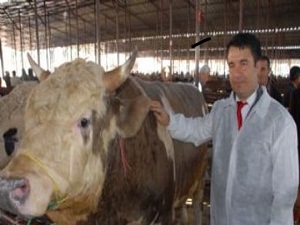 'Helal' kurban uyarısı!