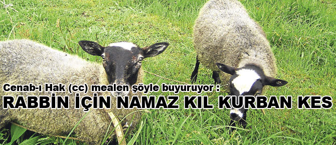 Rabbin için namaz kıl, kurban kes