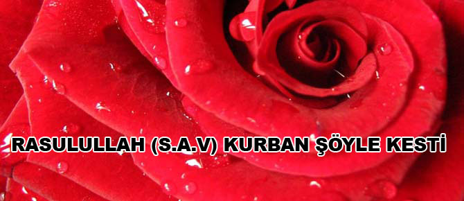 Rasûlullah (s.a.v.) kurbanı şöyle kesti