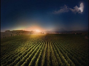 Bu baraj bölgeye hayat verecek