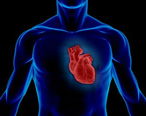 Kalp nedir sorusuna Risale-i Nur'da cevap buluyoruz