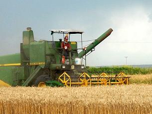 Tarım işçilerinin ücretleri arttı