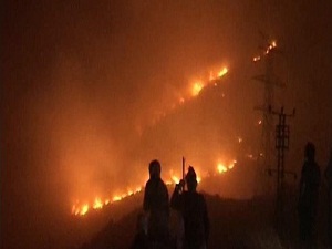 10 Yılda 85 Bin Hektar Orman Zarar Gördü