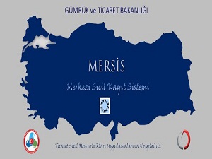 Şirket kurma elektronik ortama taşınıyor