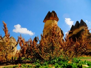 Kapadokya'da sonbahar güzelliği