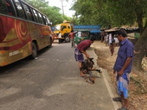 Arakanlı Müslümanların göç yolu tutuldu