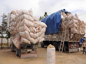 Saman kıtlığı, et fiyatlarını etkileyecek