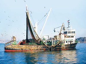Balık tutmaktan vazgeç tekneni bakanlık alsın