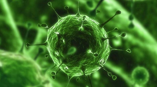 Korkutan virüs yine ortaya çıktı