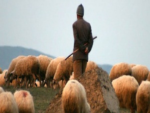 3 bin 500 liraya çoban bulamayanınca isyan ettiler