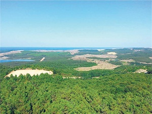 Üçüncü havaalanının yapımında 7 bin 800 hektar orman kesilecek