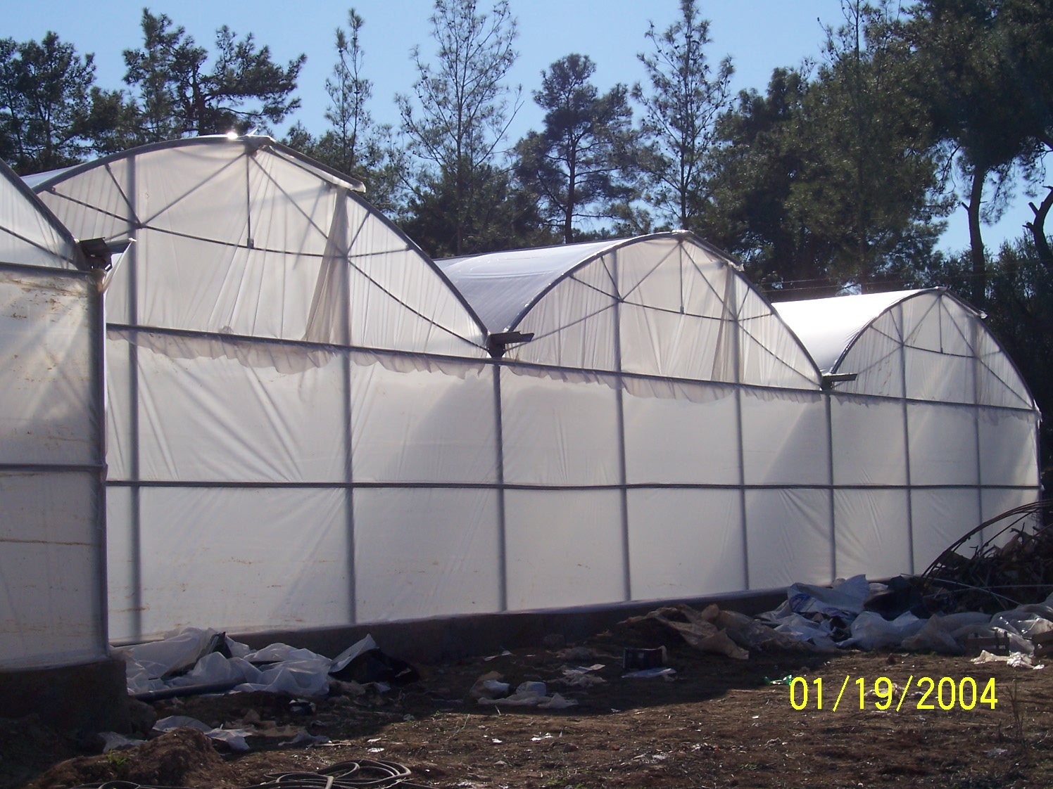 Sera üreticileri, para etmeyen ürünlerini söküyor