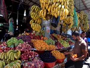 Kış hastalıklarına karşı meyve kalkanı