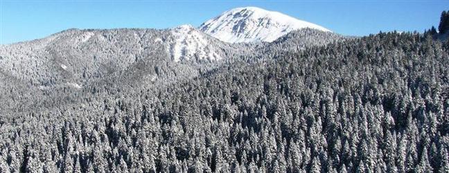 Ilgaz'a yılın ilk karı yağdı