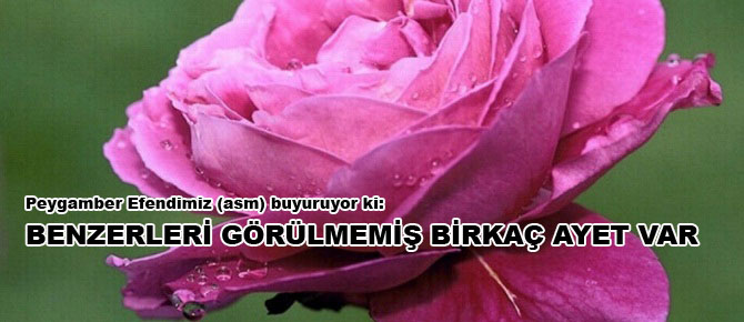 Benzerleri görülmemiş birkaç ayet var