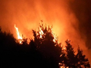 Havaların Isınmasıyla Yangınlar Arttı