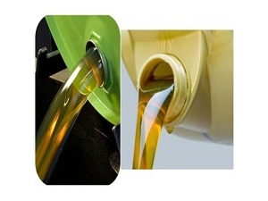 10 numara yağ ekmek peynir gibi satılıyor!