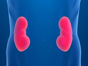 Yedi milyon böbrek hastası var, 2017’de 100 bin kişi diyalize girecek