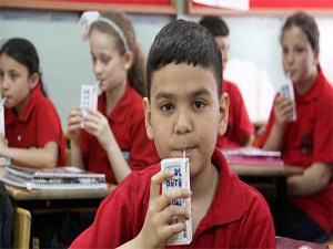 Velisi izin vermeyen öğrenciye süt yok