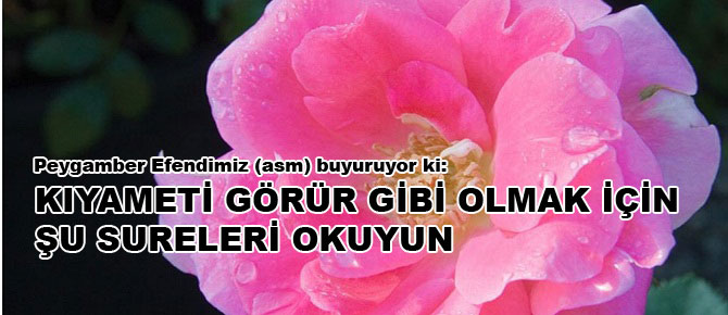 Kıyameti görür gibi olmak için şu sureleri okuyun