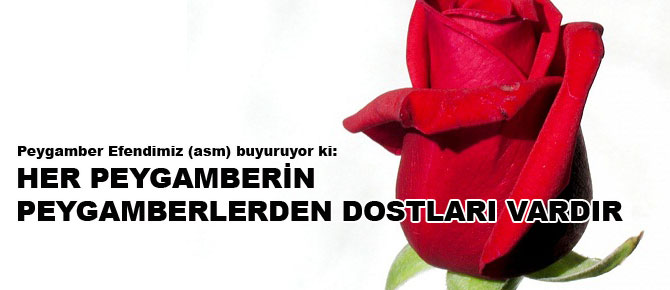 Her peygamberin peygamberlerden dostları vardır