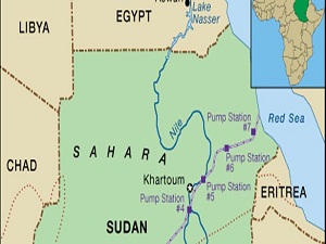 Sarı hummaya karşı aşı seferberliği