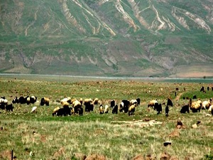 Meralar imara açılmayacak