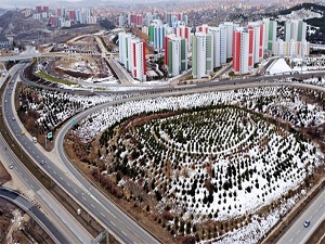Büyükşehir 'kentsel dönüşüm'de bilinçlendirecek