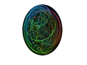 İnsan beyinli bilgisayar