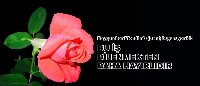 Bu iş dilenmekten daha hayırlıdır