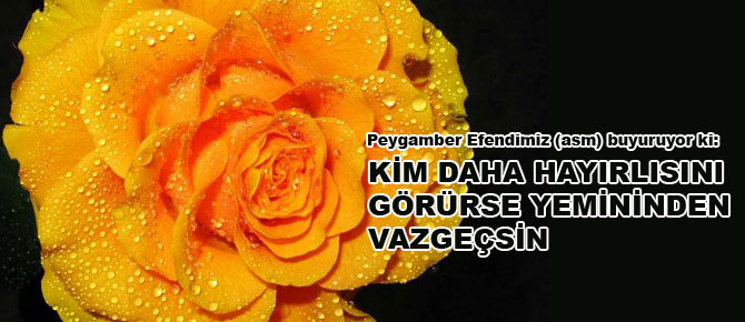 Kim daha hayırlısını görürse yemininden  vazgeçsin