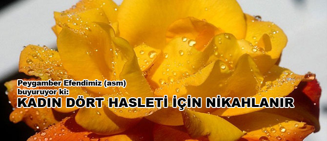 Kadın dört hasleti için nikahlanır